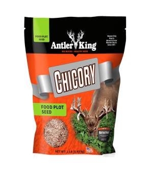 Chicory (1 lb.)