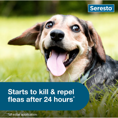 Seresto 8 Month Flea & Tick Collar SMALL DOG - Image 4
