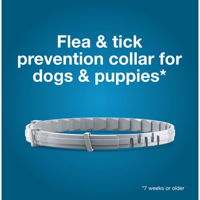 Seresto 8 Month Flea & Tick Collar SMALL DOG - Image 3