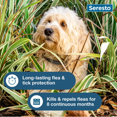 Seresto 8 Month Flea & Tick Collar SMALL DOG - Image 2