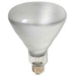 Heat Lamp Bulb Clear 125 Watt