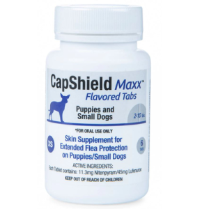 Capshield Maxx Chewable Dog 2-10Lb 6 CT