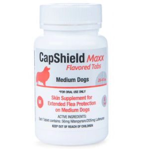 Capshield Maxx Chewable Dog 26-45Lb 6 CT