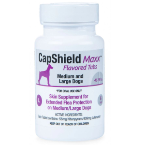 Capshield Maxx Chewable Dog 46-90Lb 6 CT