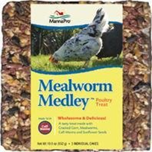 Mp Mealworm Medley Cake Treat 3Pk 19.5 OUNCE