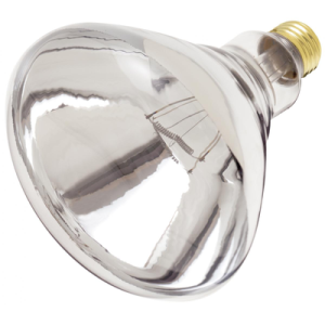 Heat Lamp Bulb ***Clear Bulbs*** 250 WATT
