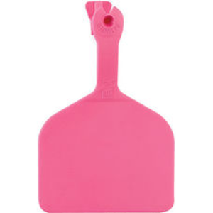Z Tag Feedlot Pink Blank 50 CT/PKG