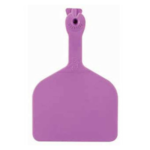 Z Tag Feedlot Purple Blank 50 CT/PKG